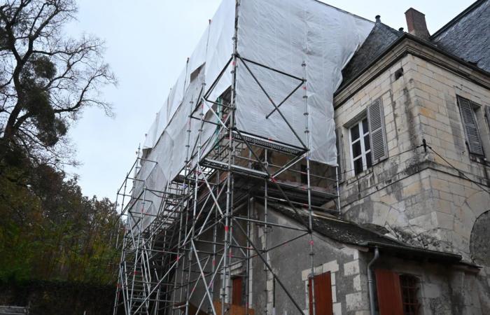 un curioso atto di vandalismo al castello di Gizeux