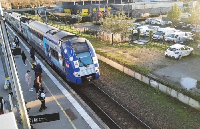 Tempesta Bert. A causa del forte vento, treni sospesi su diverse linee della Manica