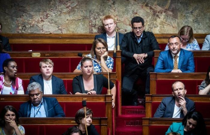 I deputati della France insoumise vogliono abrogare il reato di apologia di terrorismo