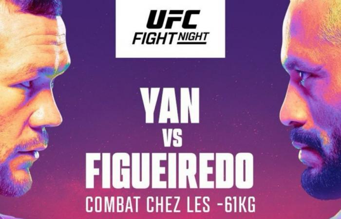 UFC Fight Night: a che ora e su quale canale guardare i combattimenti in diretta questo fine settimana?