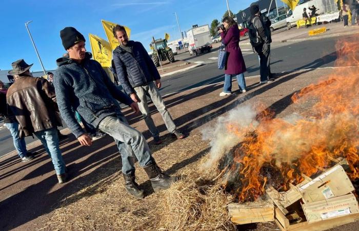 Perché gli agricoltori hanno manifestato davanti a una concessionaria Mercedes a Limoges?