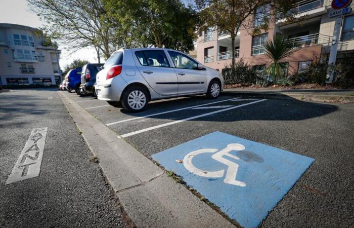 Il suo amico disabile ha l'auto rubata e danneggiata, lei lancia una raccolta fondi online