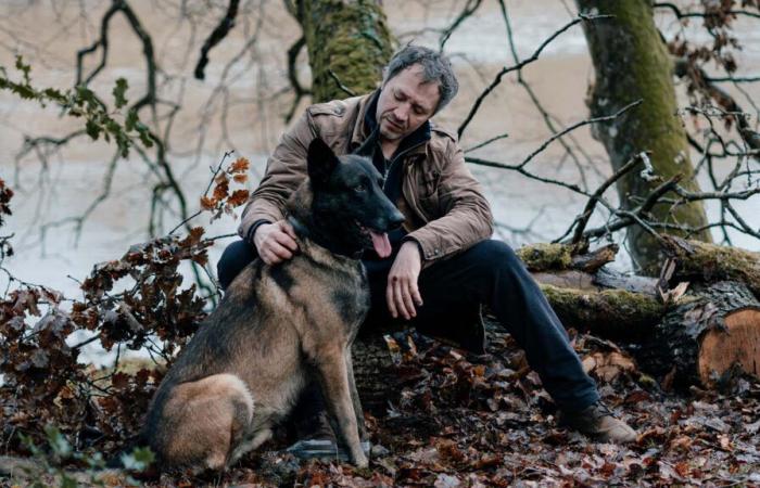 Le Voyageur (France 3) – Bruno Debrandt parla del cane Emy: “In realtà si chiama Maïko…”