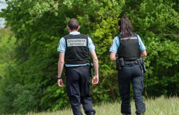 scoperto il corpo di una donna di 81 anni in una borsa, il suo vicino preso in custodia dalla polizia