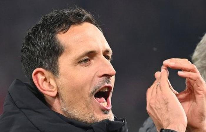 La cosa più importante dell'Eintracht-Brema: una questione di nitidezza | hessenschau.de