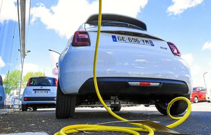 Auto elettrica: il taglio degli aiuti agli acquisti fa temere un crollo delle vendite