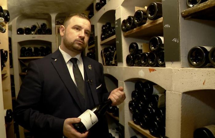 chi è Bastien Debono, incoronato miglior sommelier di Francia