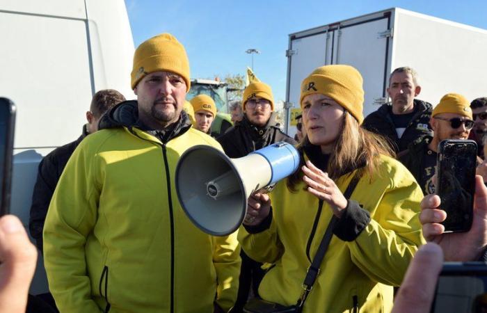 La rabbia degli agricoltori: “Importazioni di cereali dall’Ucraina”… Ciò che CR 47 critica Arnaud Rousseau e il suo gruppo Avril