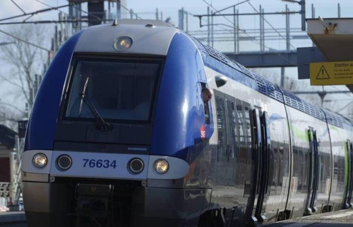 Diverse centinaia di passeggeri del TER e del TGV sono rimasti bloccati nel cuore della notte nelle Lande