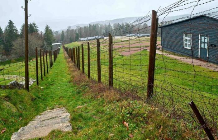 “Il campo Struthof ha fornito all’Università di Strasburgo esseri umani per esperimenti” – Libération