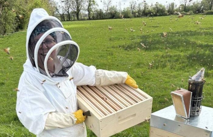 Nel Canale della Manica, la parrucchiera lasciò cadere le forbici per allevare le api e produrre il miele