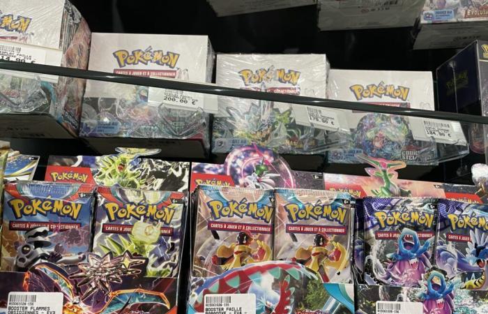 Fuji Store, il nuovo tempio delle carte Pokémon, ha aperto a Lille il 23/11/2024