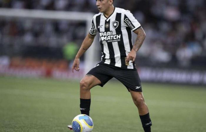 Pronostico Botafogo x Vitória – Campionato Brasiliano