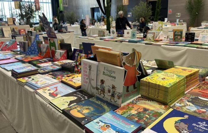 Al festival del libro per bambini Grains de sel, “la letteratura per ragazzi soddisfa le esigenze della letteratura”