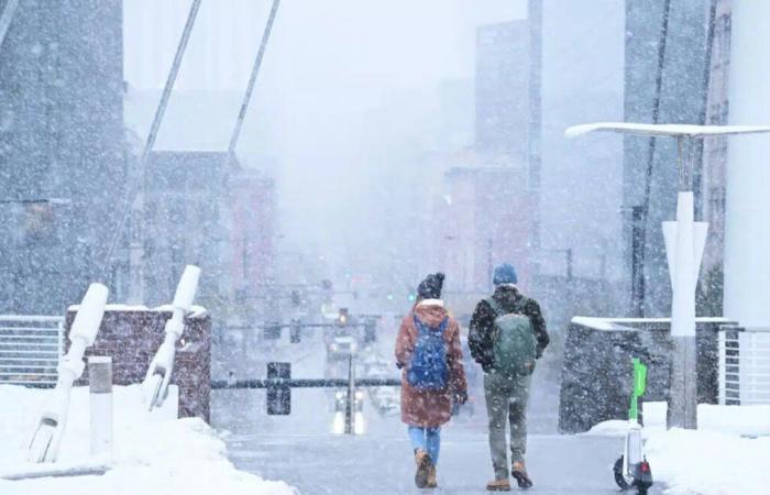 Avvisi NWS per freddo agghiacciante e cinque piedi di forti nevicate in 11 stati!