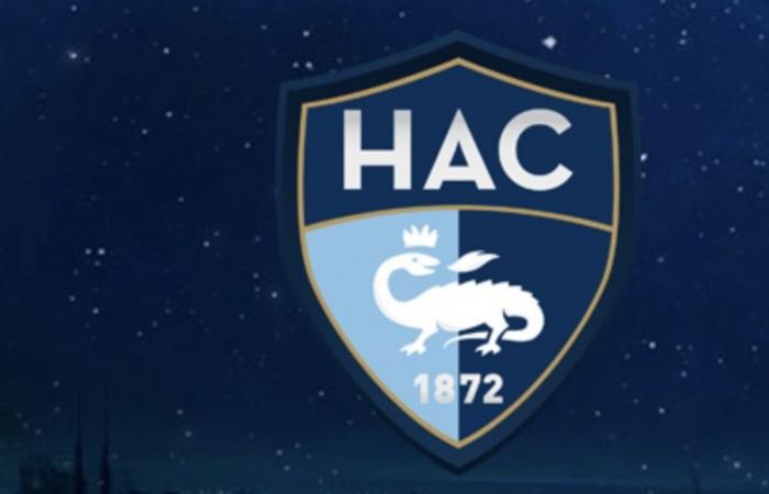 Mercato Havre AC: Dopo André Ayew, un altro ex OM nel mirino dell'HAC