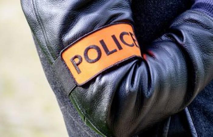 Un uomo gravemente ferito durante il suo arresto in Val-de-Marne