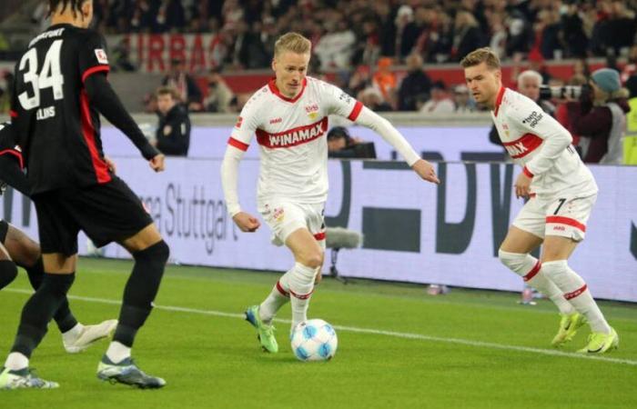 Bundesliga oggi: Stoccarda – Bochum LIVE in TV, live ticker e live streaming