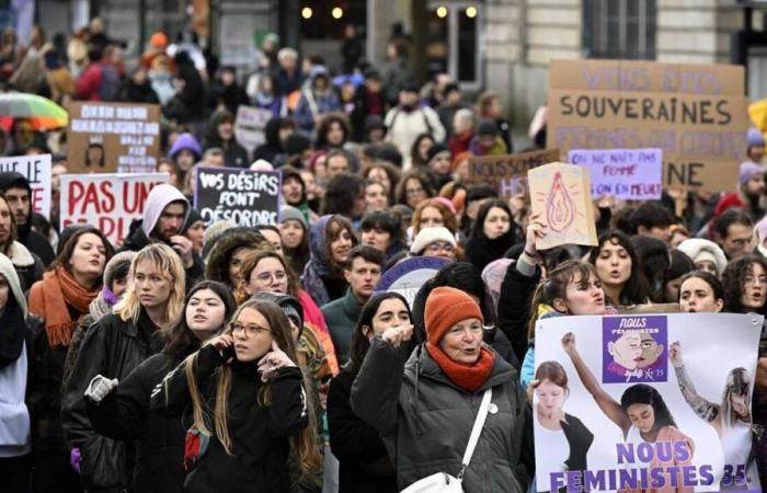 In tutta la Francia, questo sabato, manifestazioni contro la violenza sessista e sessuale