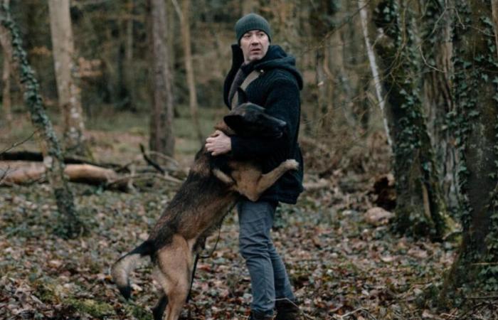 “È insolente! A volte impazzisce…” Bruno Debrandt svela divertenti segreti su Emy, la cagnolina della serie