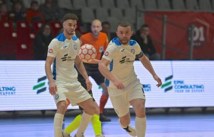 VIDEO IN DIRETTA. Tolone – Hérouville: segui in diretta la partita di futsal della D1