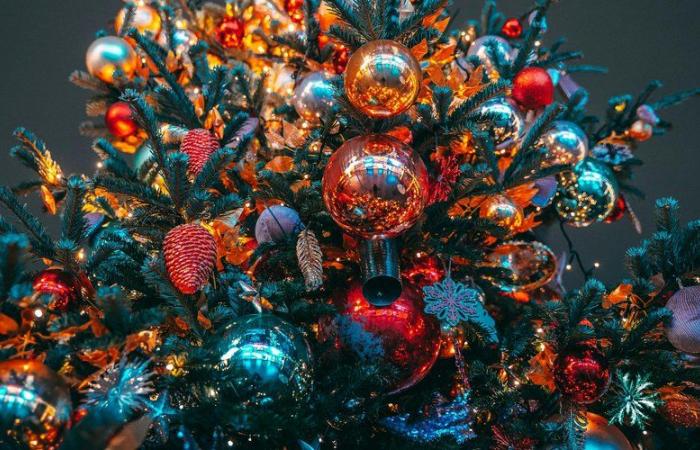 “In 24 stagioni non ho mai sperimentato una cosa del genere”: i prezzi degli alberi di Natale aumenteranno quest’anno?