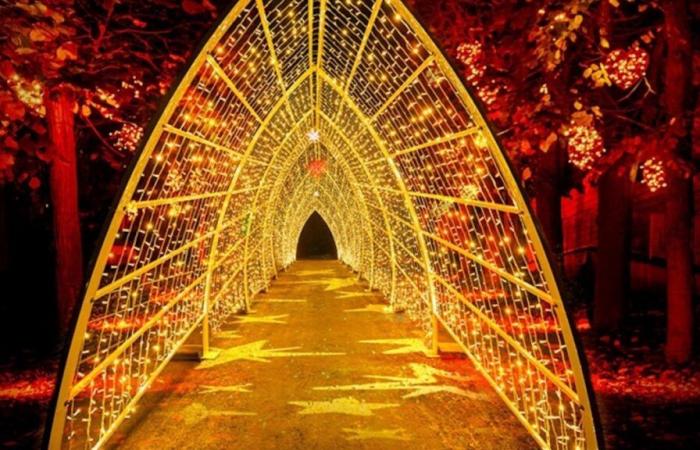 Lumières en Seine, il percorso illuminato e festoso torna a due passi da Parigi