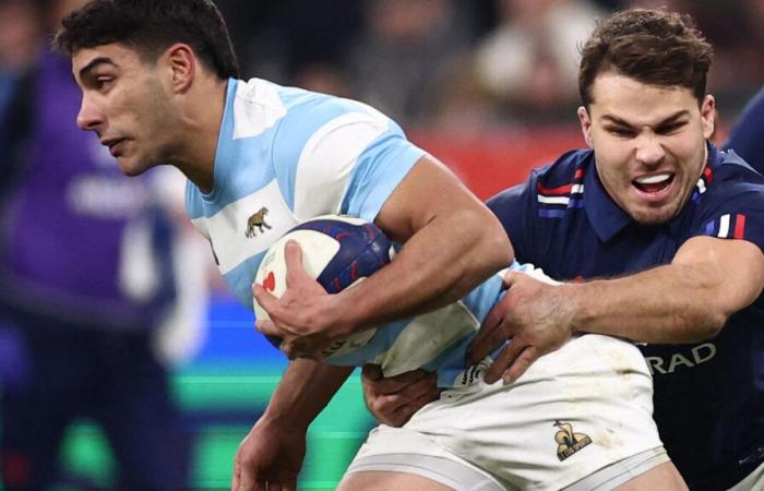 Francia – Argentina (37-23): Attacco, difesa… I Blues straordinariamente efficienti nel tour di novembre