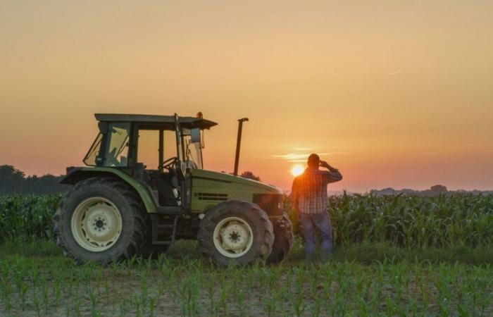 Dopo il loro incontro a “l'Amour est dans le pré”, hanno lanciato la loro marca di popcorn made in Creuse