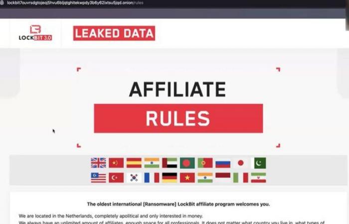 immergerti dietro le quinte del dark web con uno specialista