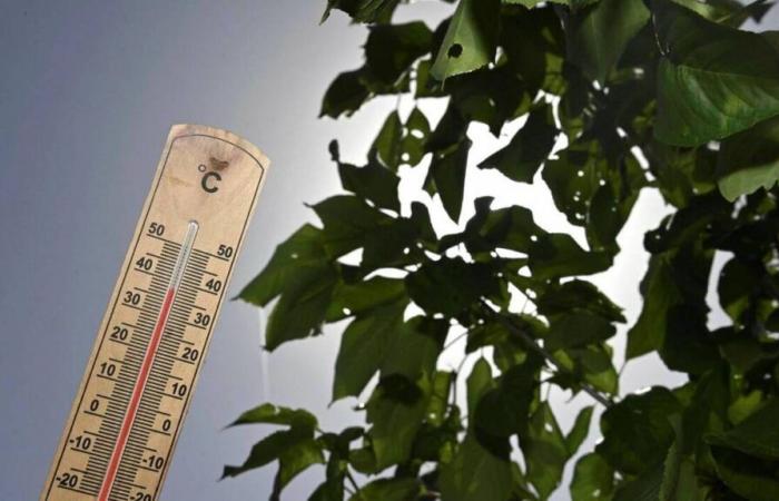 20,2°C registrati in Côtes-d'Armor, mentre tre giorni fa nevicava…