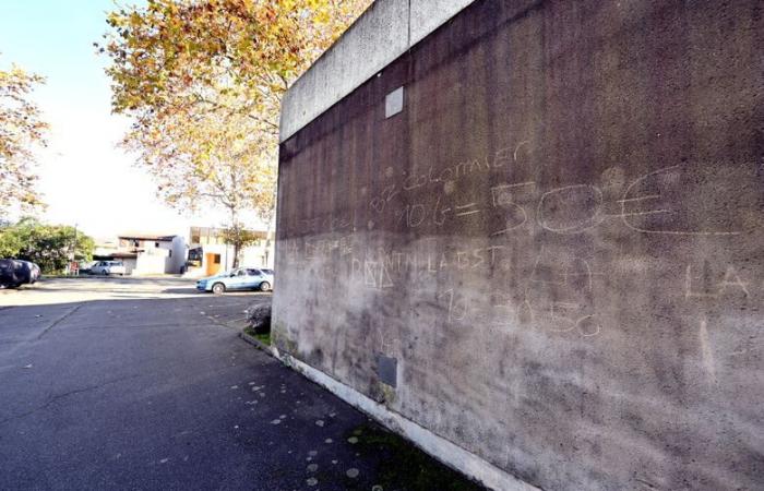 INFORMAZIONI LA ​​DEPECHE. Omicidio di Teddy a Blagnac: un secondo minorenne posto in custodia di polizia, gli indagati hanno 15 e 16 anni