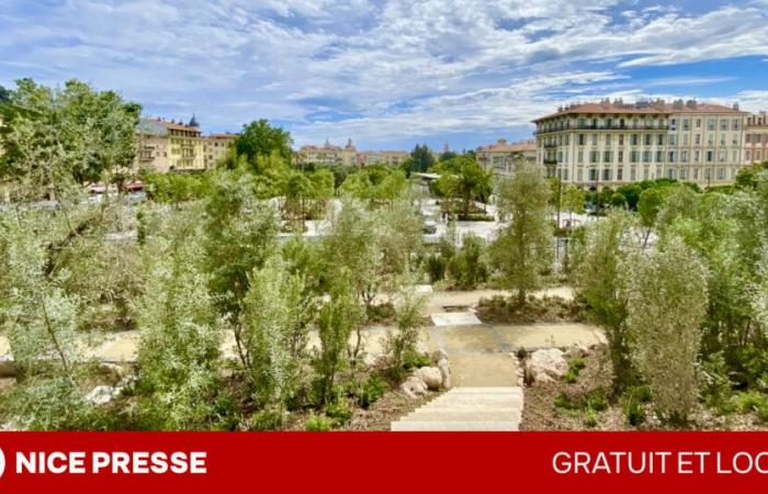 A Nizza, il verde del centro città guadagna ettari… e il sostegno dei residenti, secondo un nuovo sondaggio