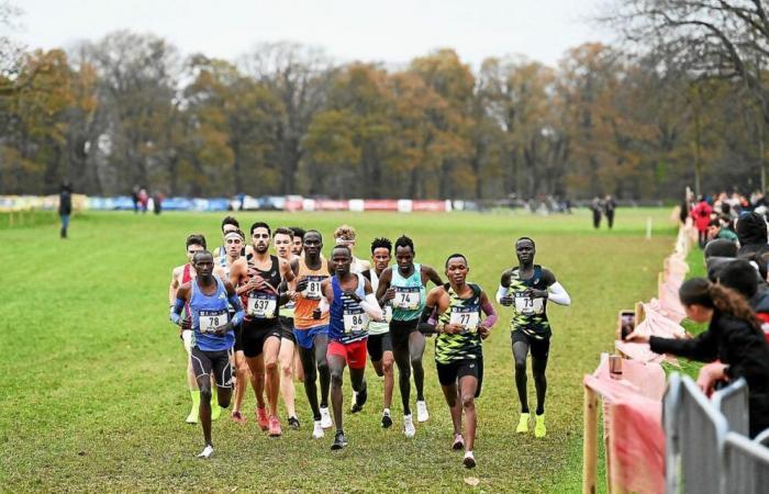 Croce etichetta d’oro a Carhaix: livello altissimo… e domande