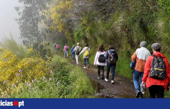 Una giornata invitante per restare a casa e magari uscire solo il pomeriggio — DNOTICIAS.PT