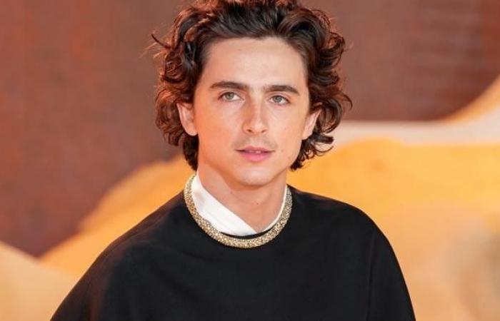 Il gesto a sorpresa di Timothee Chalamet suscita entusiasmo per il nuovo film