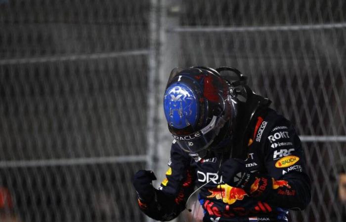 Max Verstappen, campione del mondo sollevato