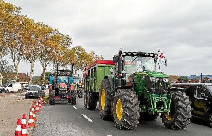 Seconda settimana di mobilitazione degli agricoltori: cosa aspettarsi?