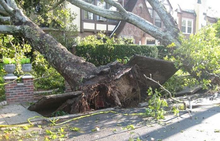 Allerta meteo per venti violenti questo lunedì 25 novembre nei Pirenei Atlantici, Alti Pirenei, Gers, Alta Garonna, Ariège, Tarn-et-Garonne