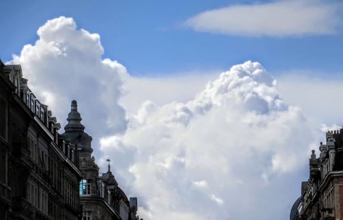 Bollettino meteorologico. Com'è il tempo questa domenica, 23 novembre in Alta Francia?