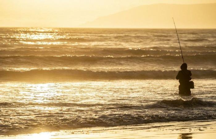 Surfcasting, una tecnica da nottambuli?