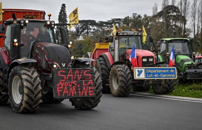 una seconda settimana di mobilitazioni in arrivo