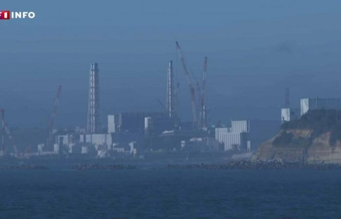 “In pochi minuti possiamo morire”: François-Xavier Ménage racconta il suo reportage nella zona rossa di Fukushima