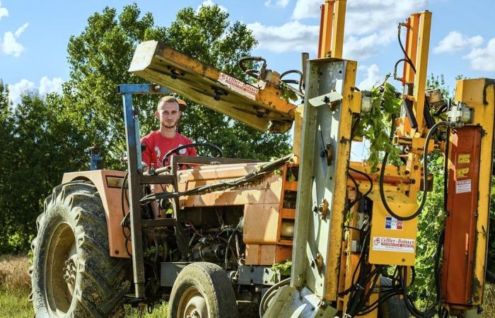 GARD I Vignerons des Capitelles si abbinano ai vostri pasti di fine anno