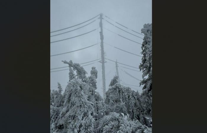 (Aggiornato alle 17:00) Il ghiaccio provoca danni alla Montagne Noire