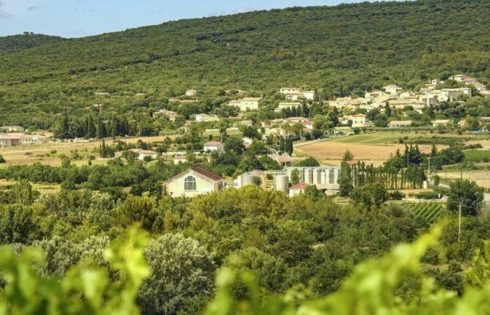 GARD I Vignerons des Capitelles si abbinano ai vostri pasti di fine anno