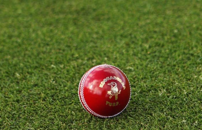 Zimbabwe vs Pakistan LIVE: punteggio di cricket e aggiornamenti dal Pakistan nello Zimbabwe 2024