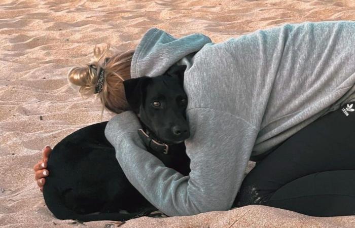 Il cane che si lanciò dall'aereo all'aeroporto Charles de Gaulle non è stato ancora trovato nonostante le ricerche approfondite