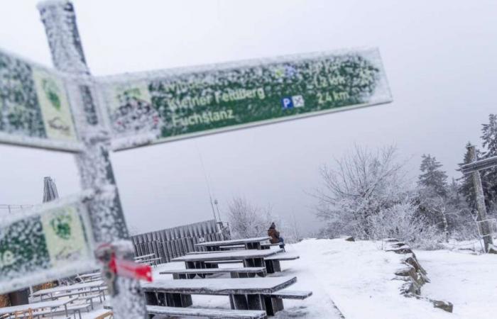 Caos della neve o clima primaverile? Fenomeno meteorologico caratterizza l’inverno in Germania