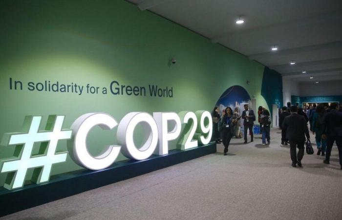 COP29: 300 miliardi di dollari all’anno per finanziare l’adattamento climatico nei paesi in via di sviluppo